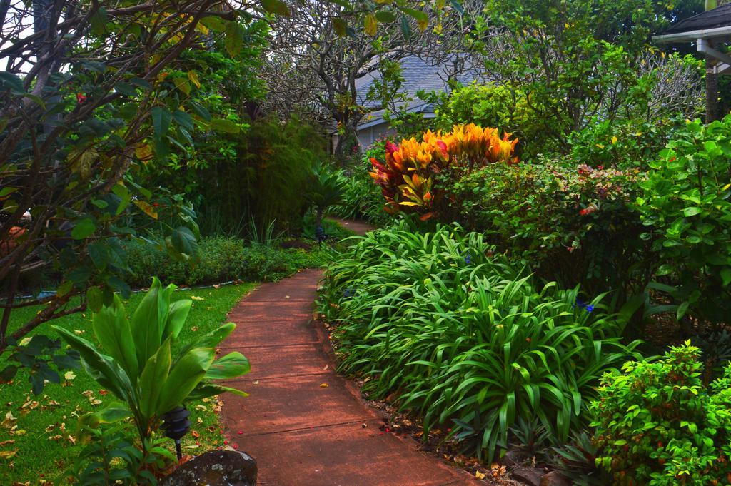 Banyan Tree B&B Retreat Makawao Exteriér fotografie